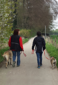 2 Hundebesitzer gehen spazieren